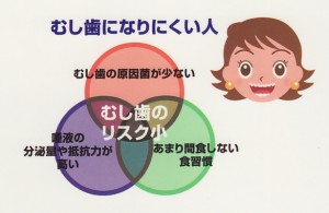 むし歯になりやすい人って、ホントにいるの？